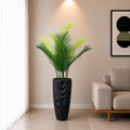 Areca Plam Plant (PL1082) With Planter
