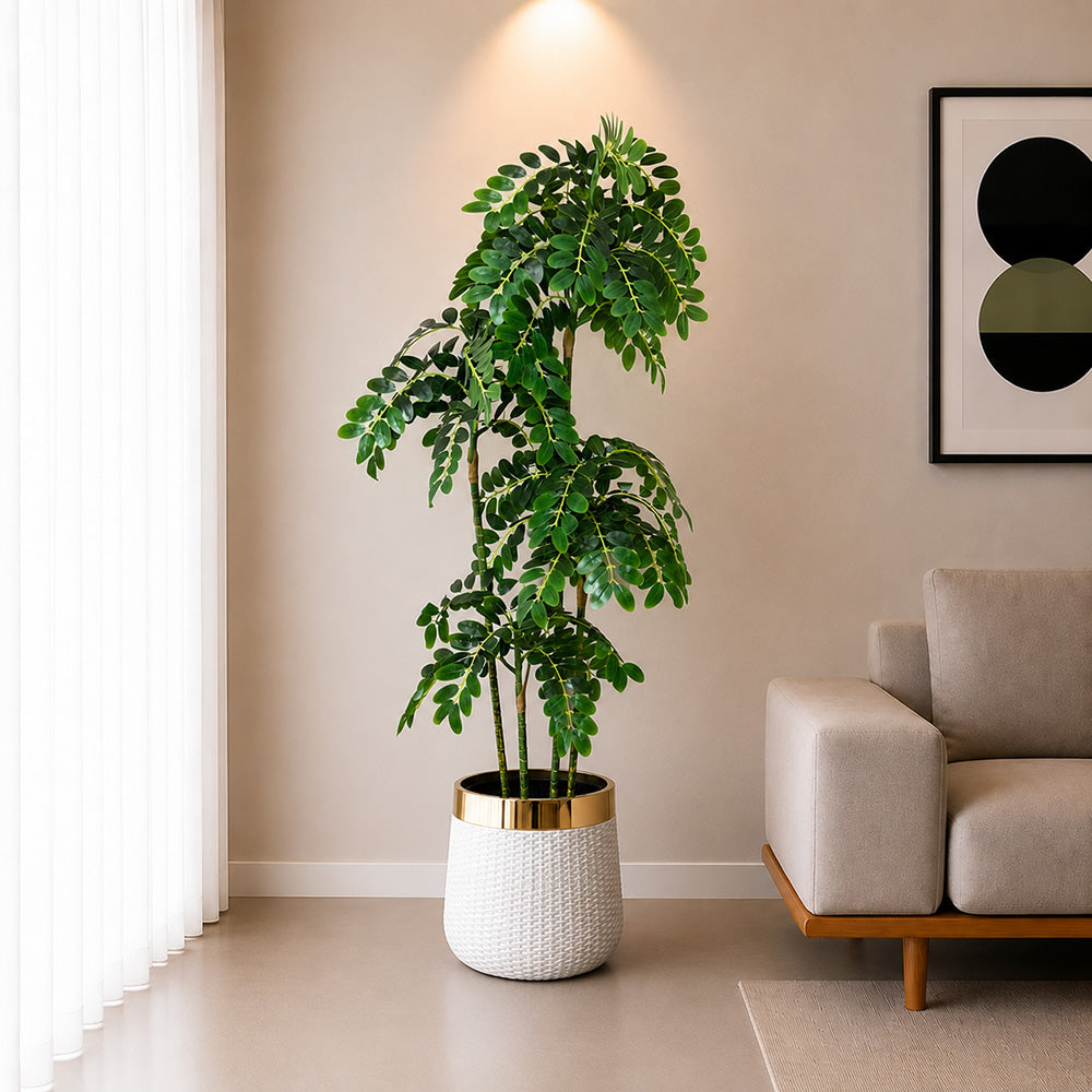 Tamarind Tree (PL1083)