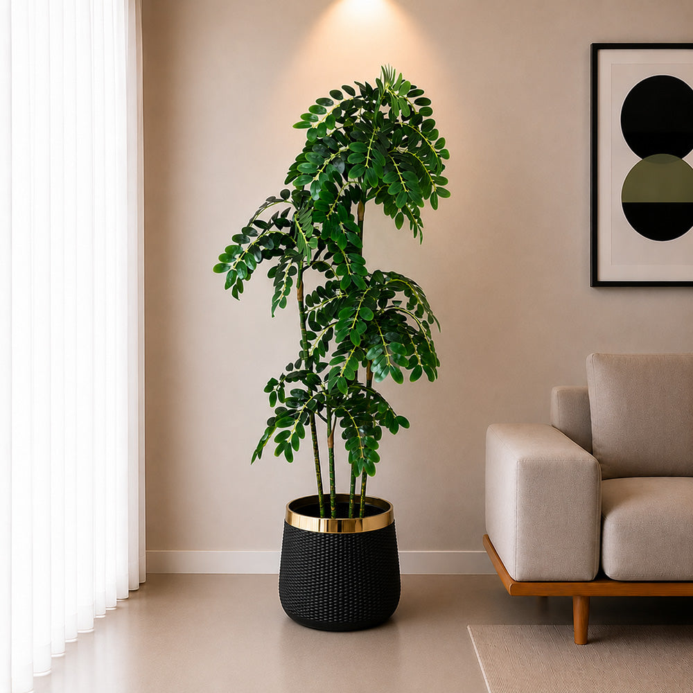 Tamarind Tree (PL1083)