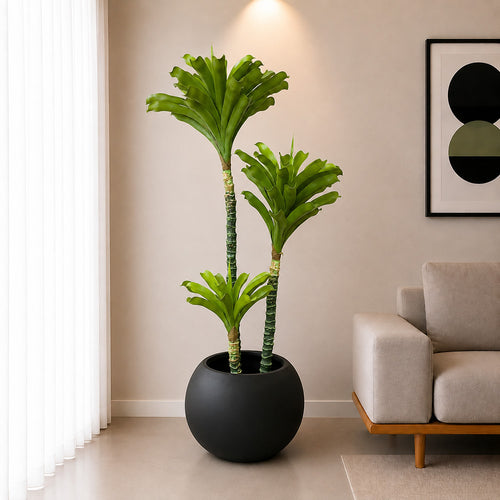 Bromeliad Tree (PL1084)