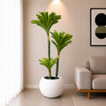 Bromeliad Tree (PL1084)