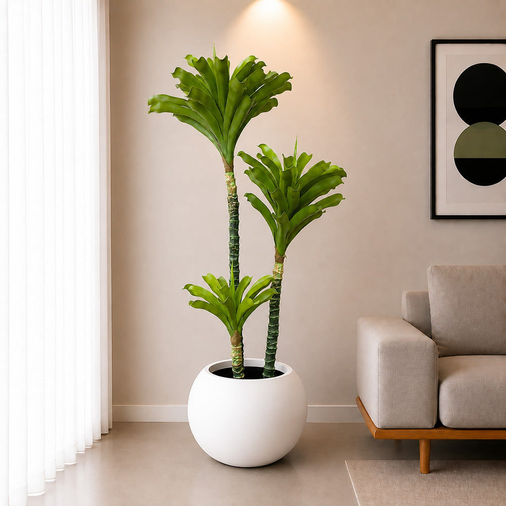 Bromeliad Tree (PL1084)