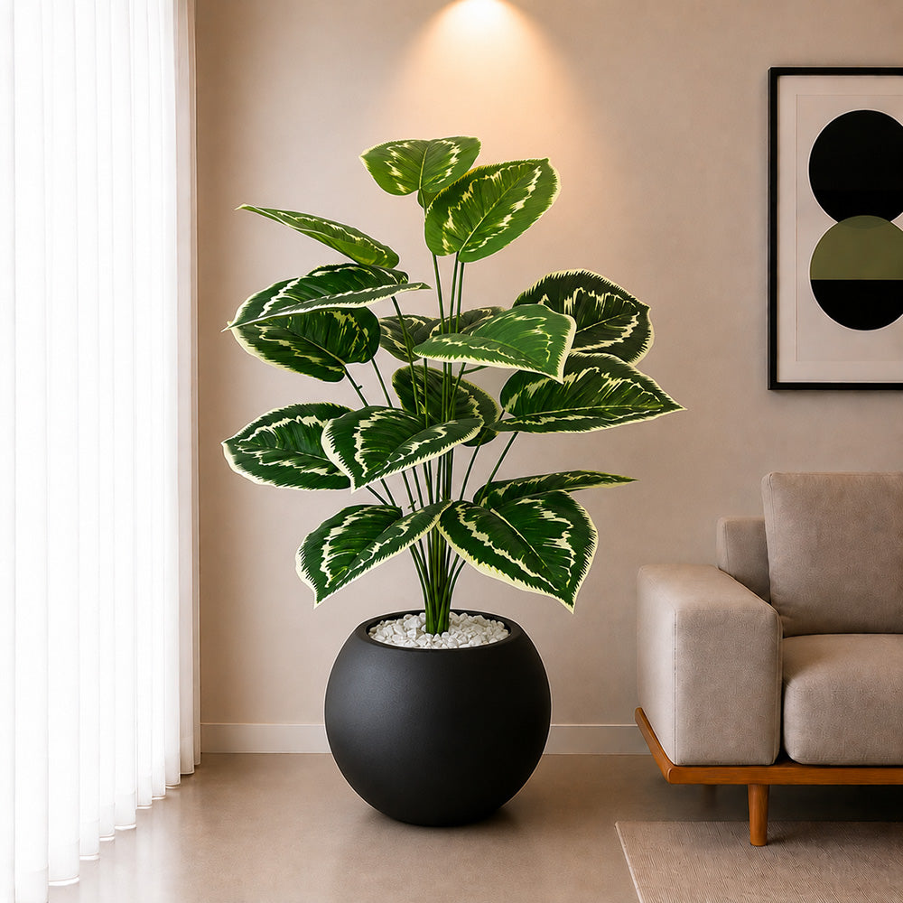 Variegated Plant (PL1092)