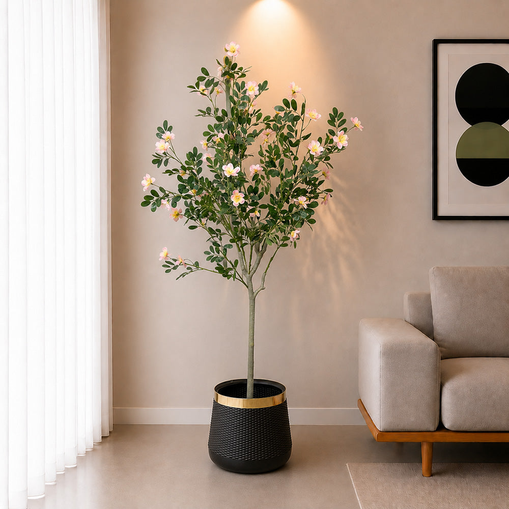 Champa Flower Plant (PL1093)