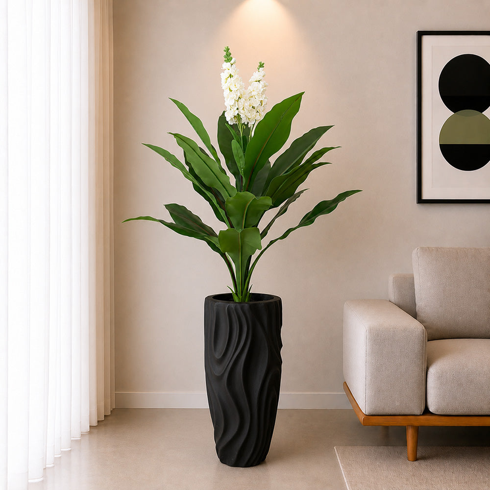 White Champa Flower Plant (PL1094)