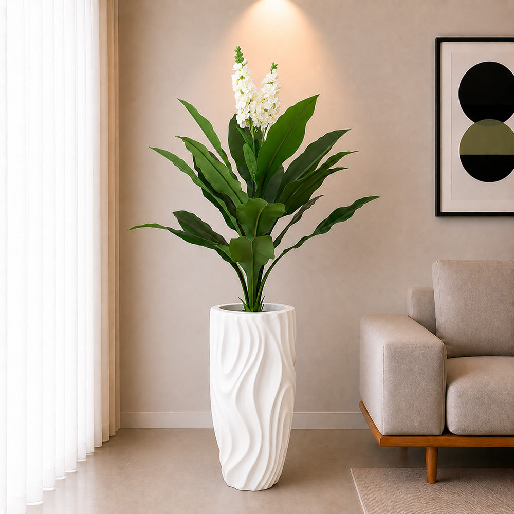 White Champa Flower Plant (PL1094)