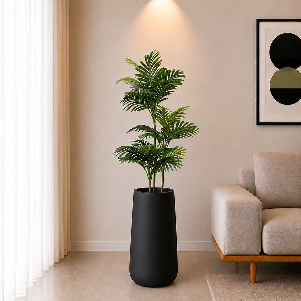 Areca Plant (PL1095) With Planter