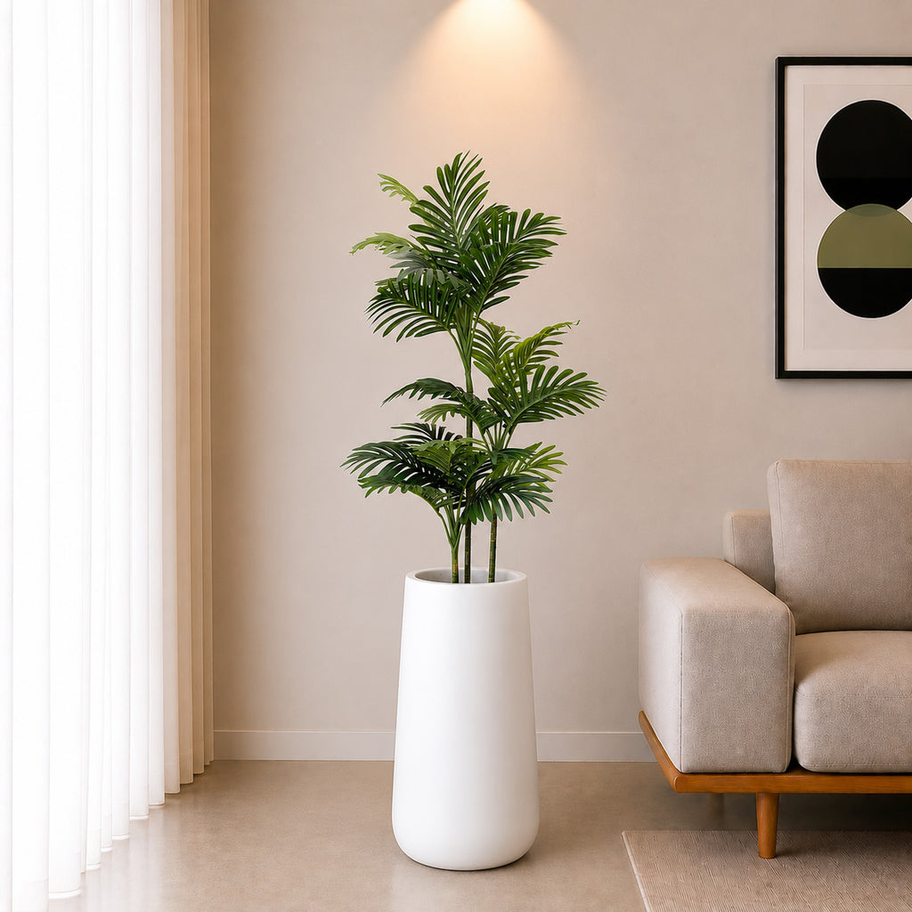 Areca Plant (PL1095) With Planter