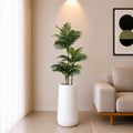 Areca Plant (PL1095) With Planter