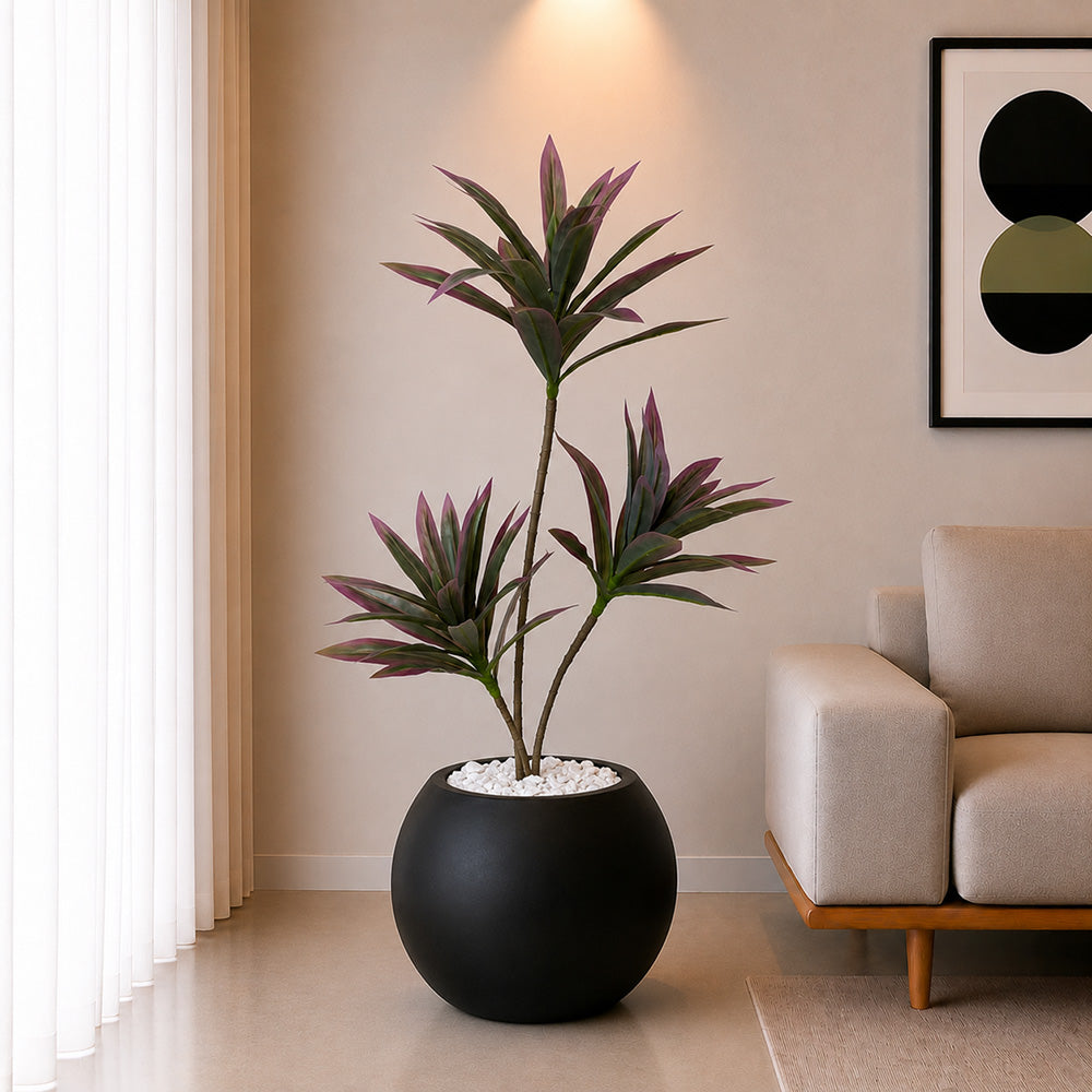 Dracaena Plant (PL1099) With Planter