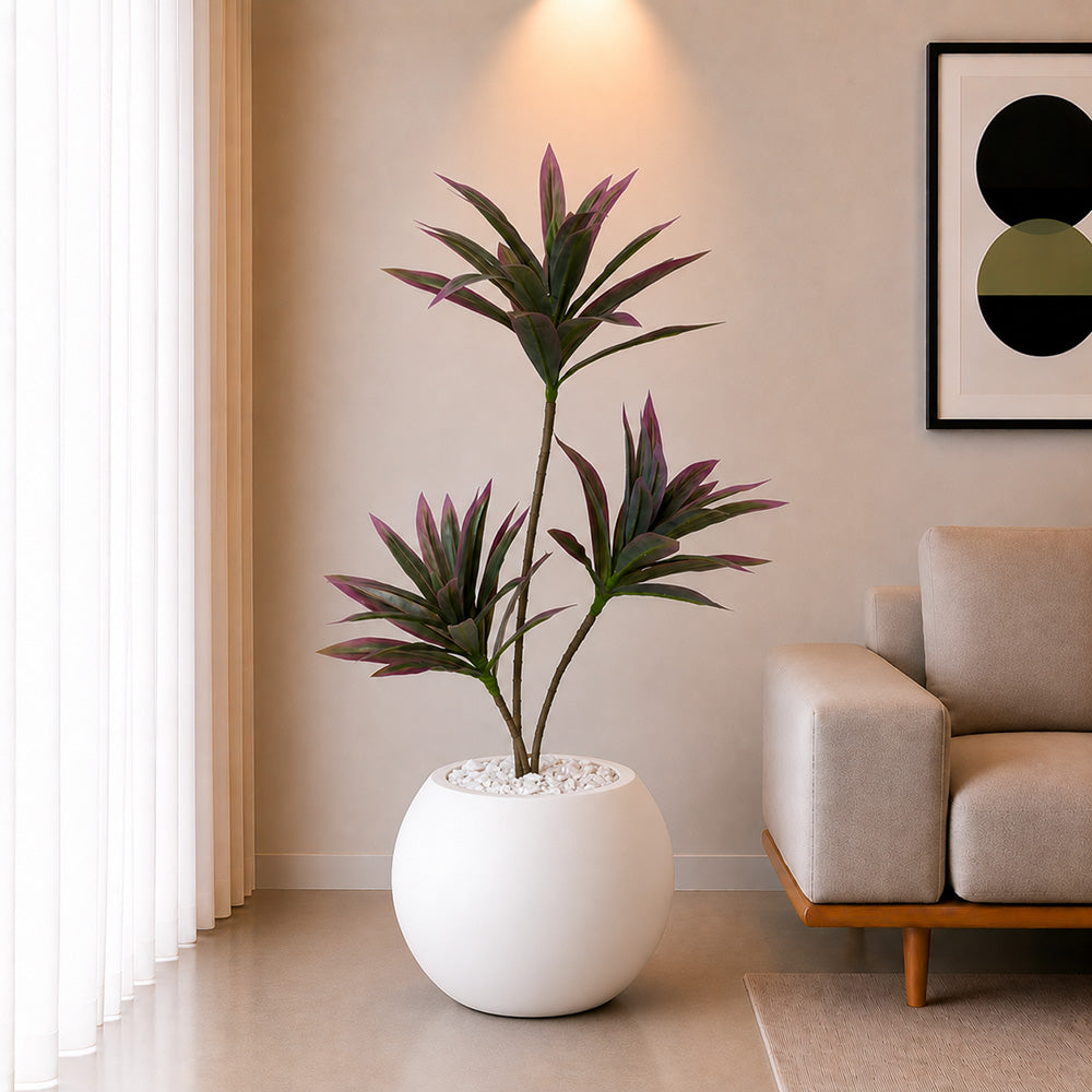 Dracaena Plant (PL1099) With Planter