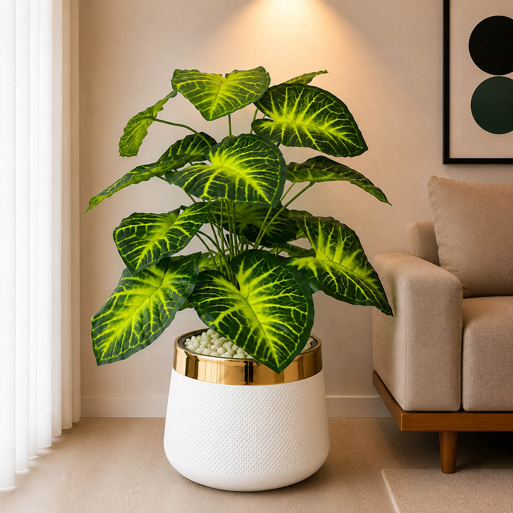 Anthurium Plant With Planter (PL1016)