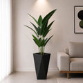 Ivory Bird of Paradise Plant (PL1071)