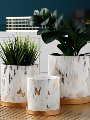 Plants & Planters