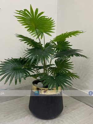 Plant With Fiber Pot PL1016