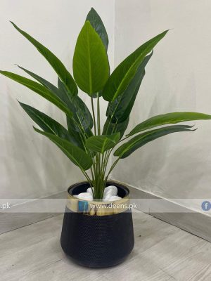 Plant With Fiber Pot PL1017