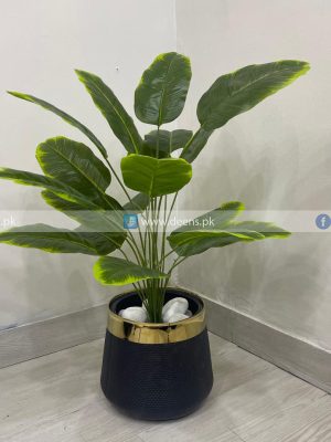 Plant With Fiber Pot PL1018