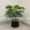 Plant With Fiber Pot PL1021