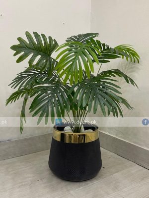Plant With Fiber Pot PL1021