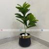 Plant With Fiber Pot PL1023