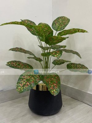 Plant With Fiber Pot PL1025