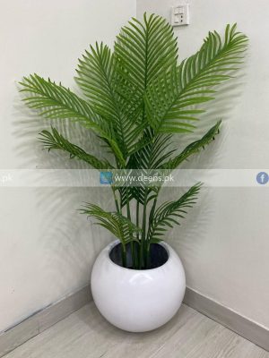 Areca Palm PL1027