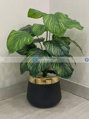Plant With Fiber Pot PL1032