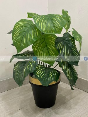 Plant With Fiber Pot PL1033