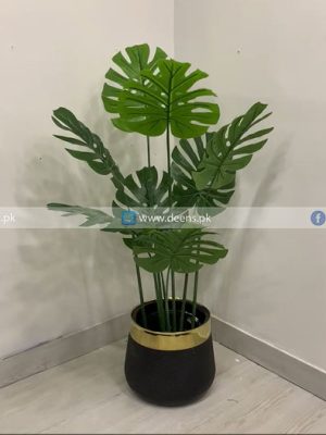 Monstera Plant PL1034