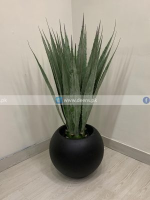 Cactus Plant PL1040