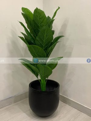 Leaf Plant PL1045