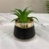 Cactus Pot SP1001