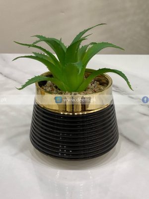 Cactus Pot SP1001