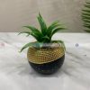 Cactus Pot SP1002