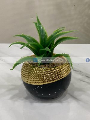 Cactus Pot SP1002