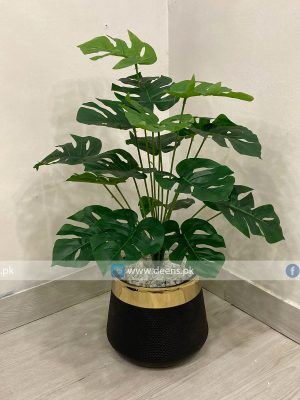 Plant With Fiber Pot PL1048