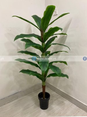 Plant PL1052
