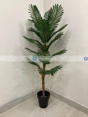 Plant PL1058