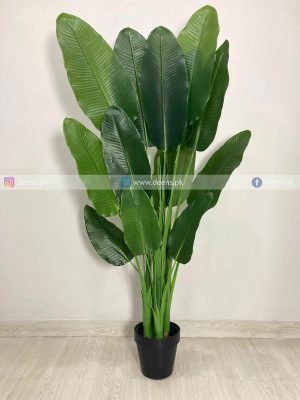 Banana Plant PL1065