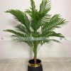 Areca Palm Tree PL1067