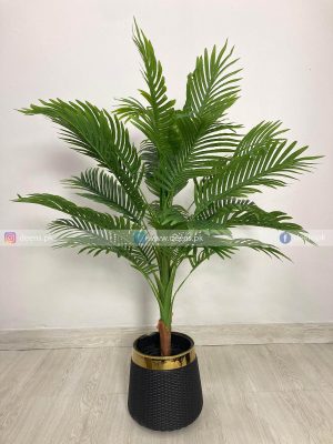 Areca Palm Tree PL1067
