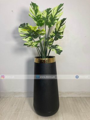 Monstera plant PL1078