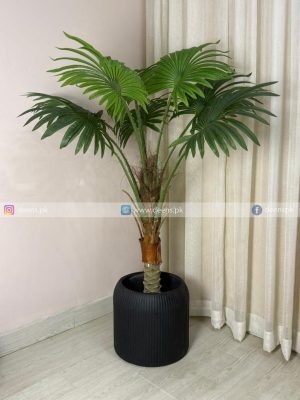 Fan Palm Plant With Planter PL1081