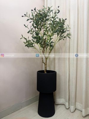 Olive Plant PL1084
