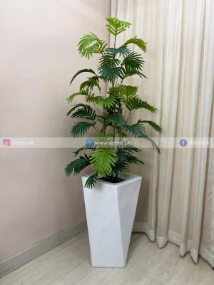 Areca Plant With Planter PL1087