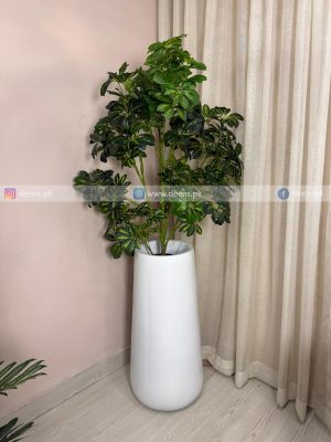 Cheecho Plant PL1091