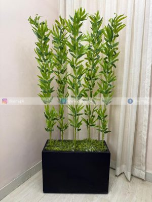 Kiyari With Bamboo Sticks PL1090