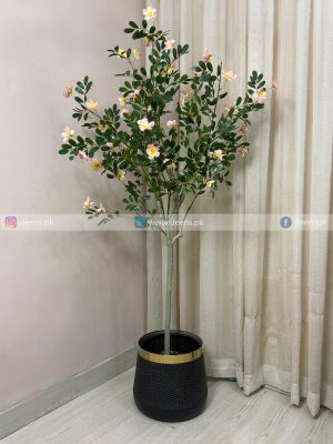 Champa Flower Plant PL1094