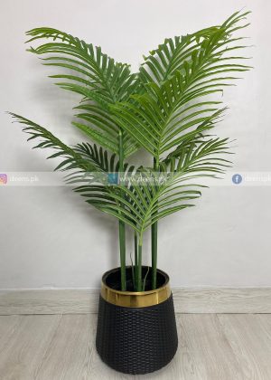 Areca Plam Plant With Planter PL1004