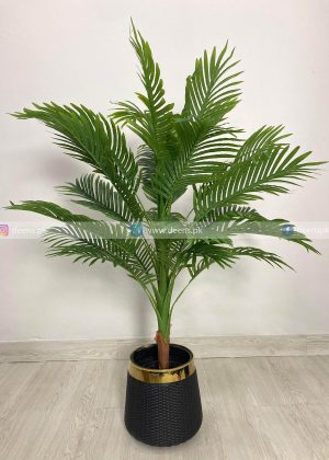 Areca Plam Plant With Planter PL1007